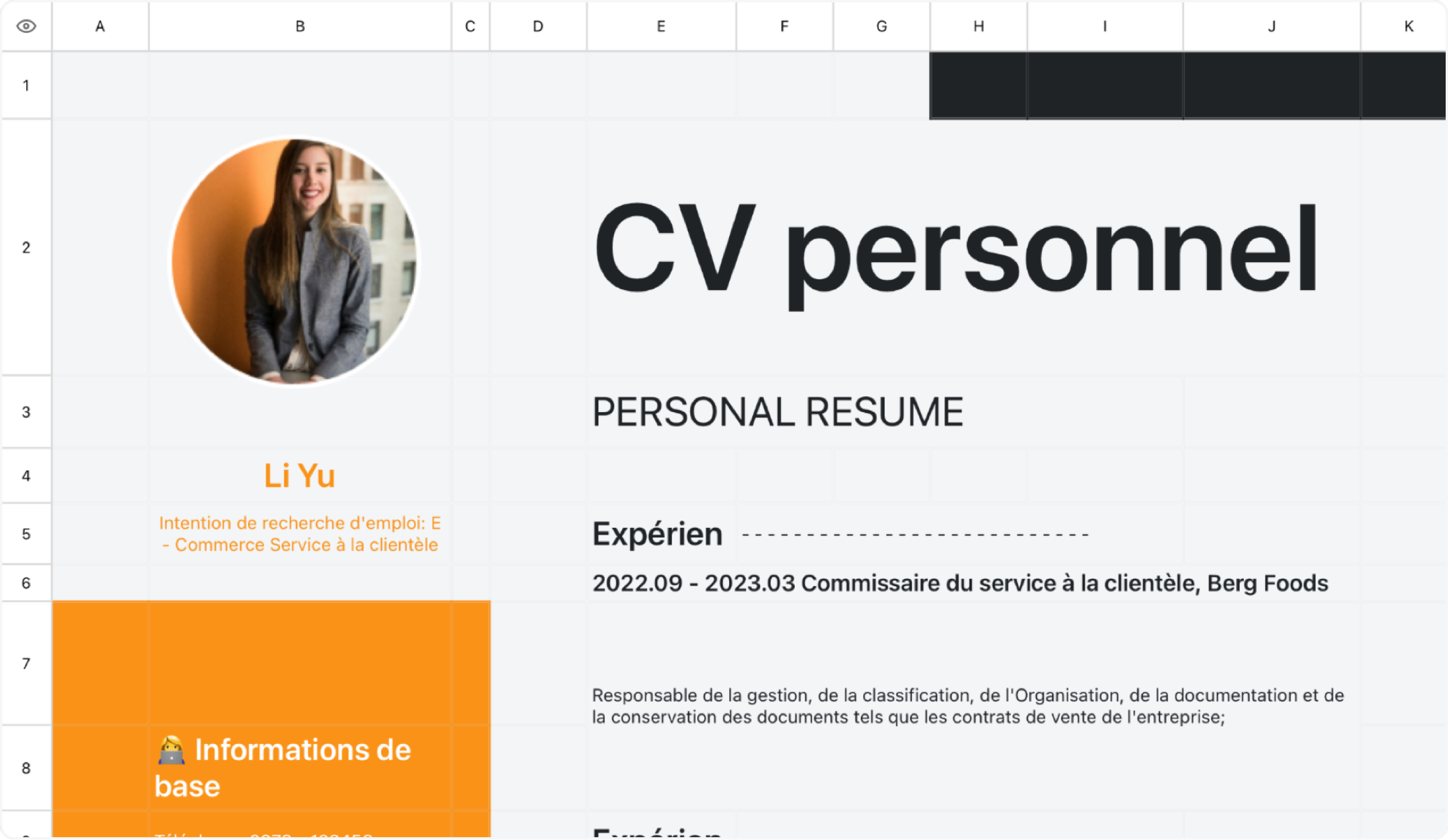 CV du service client e - commerce